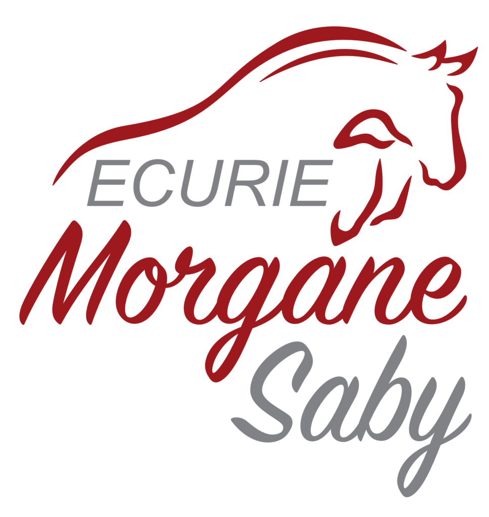 Logo Ecurie Morgane Saby Vic Le Comte