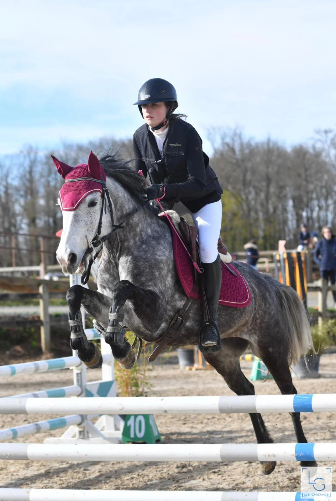 Centre équestre, Espace Valorisation et Vente de chevaux près de Clermont-Ferrand à Vic-le-Comte (63)