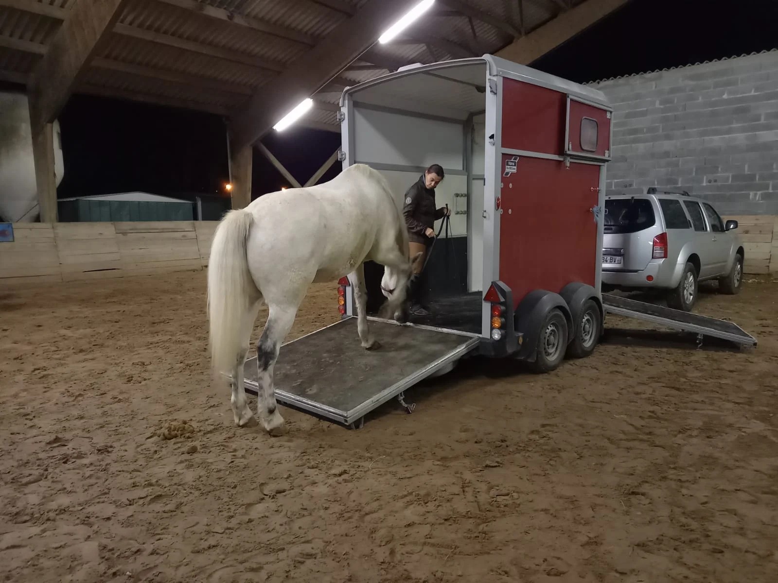 Centre équestre, Espace Valorisation et Vente de chevaux près de Clermont-Ferrand à Vic-le-Comte (63)