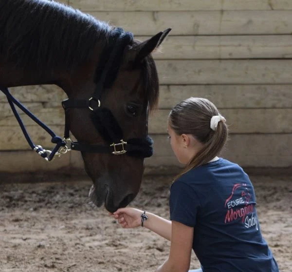 Cours d’équitation 2025–2026 – Centre Équestre Vic-le-Comte